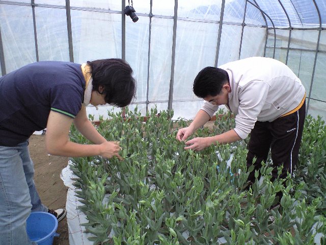昨年に続き…_d0099708_5595151.jpg