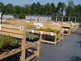 f0170524_21102596.jpg