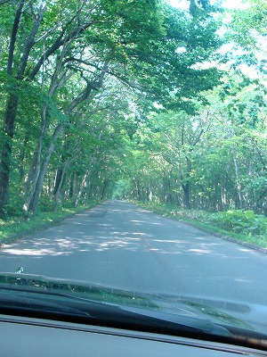 f0170524_21303279.jpg