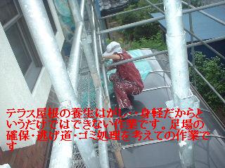塗装工事・最終日_f0031037_1985857.jpg