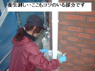 塗装工事・最終日_f0031037_1992337.jpg