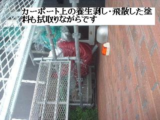 塗装工事・最終日_f0031037_1993468.jpg
