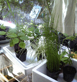 f0159844_0141559.gif