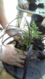 f0159844_019361.gif