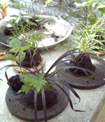 f0159844_0211719.gif