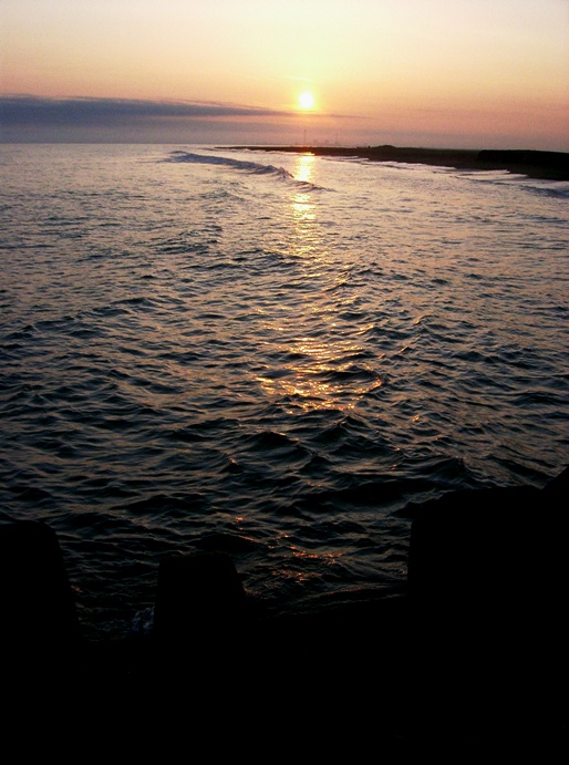a0098855_2215129.jpg