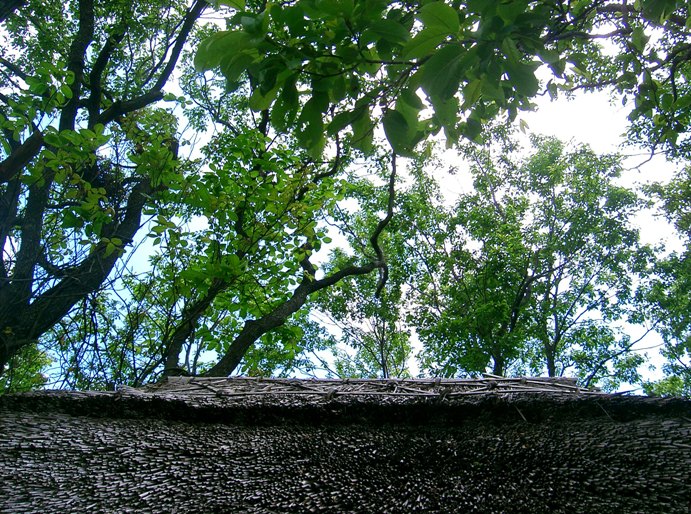 a0098855_2281515.jpg
