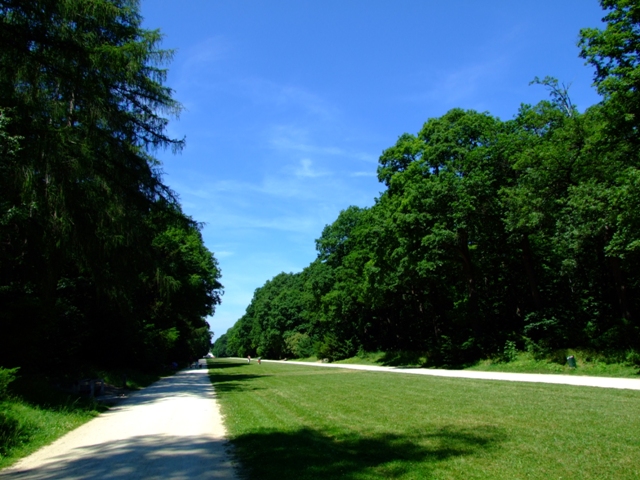 e0134658_3375428.jpg