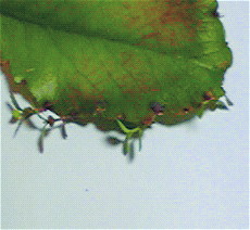 d0070273_18432995.jpg