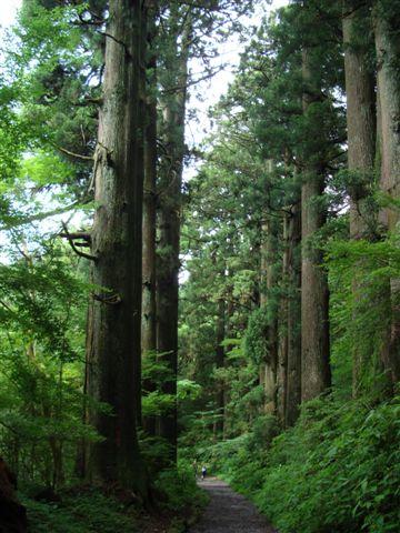 箱根旅行2日目_e0040673_0193132.jpg