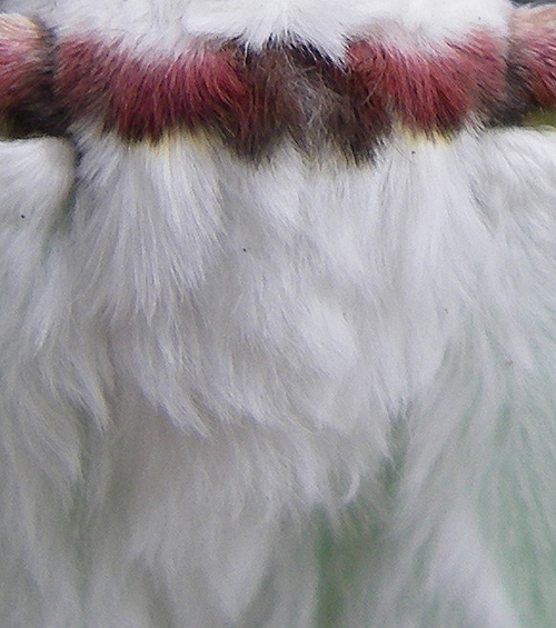 d0054076_2314280.jpg