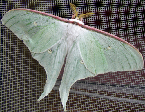 d0054076_23505429.jpg