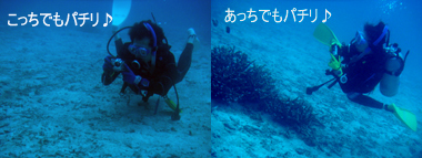 ☆水中カメラ隊☆_f0144385_025025.jpg