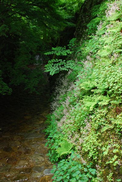 c0066392_1052338.jpg
