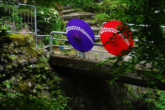 c0066392_1883258.jpg