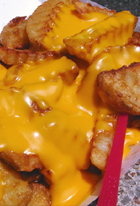 Nathan\'s Famous Hot Dogs(ネイサンズ)本店_b0007805_10131065.jpg