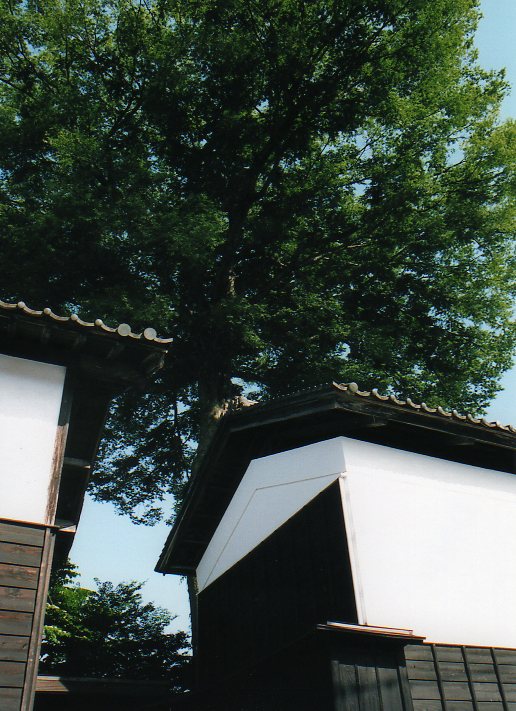 秩父の秩父館(建築家・関根要太郎の故郷を訪ねる)その１_f0142606_8504574.jpg