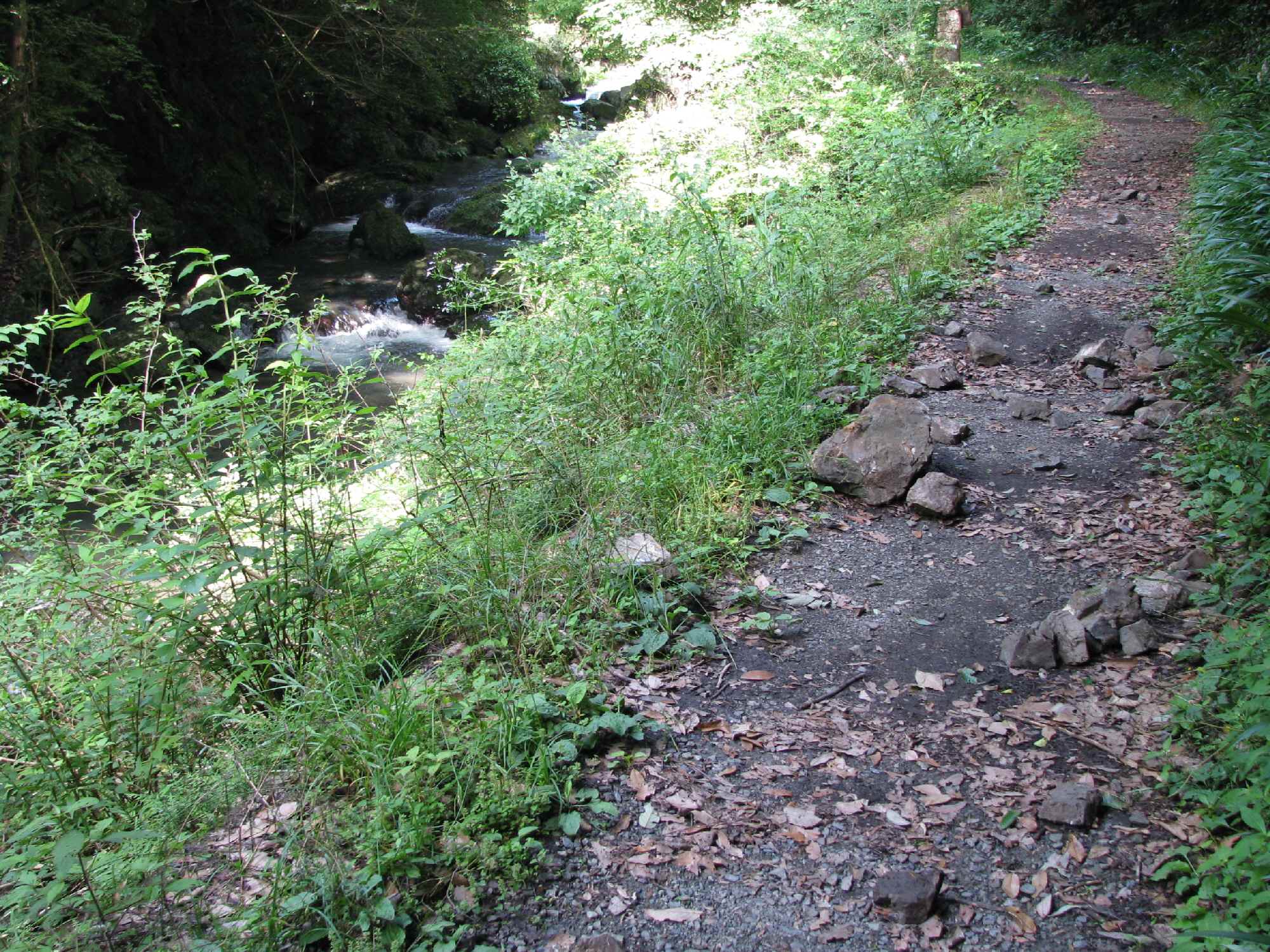 朝の散歩・・山間部の集落：尺代_e0080110_20295323.jpg