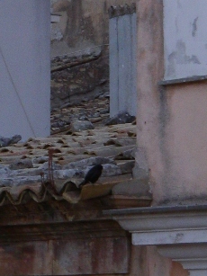 f0133814_6512892.jpg