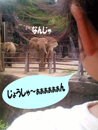 d0140329_18342177.gif