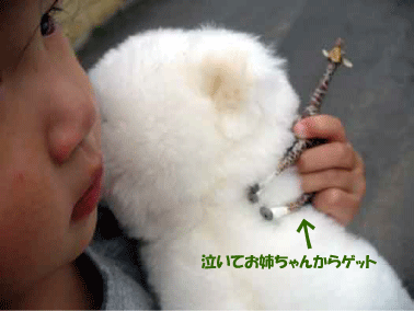 d0140329_18391653.gif