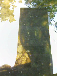 a0050838_913385.jpg
