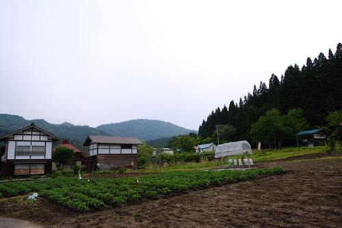 *山村③_f0169539_22584755.jpg