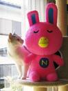 アイ・アム・NOVA_f0053757_20514487.jpg