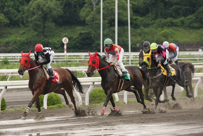 2008年6月22日（日） 高知競馬 1R_a0077663_6531391.jpg