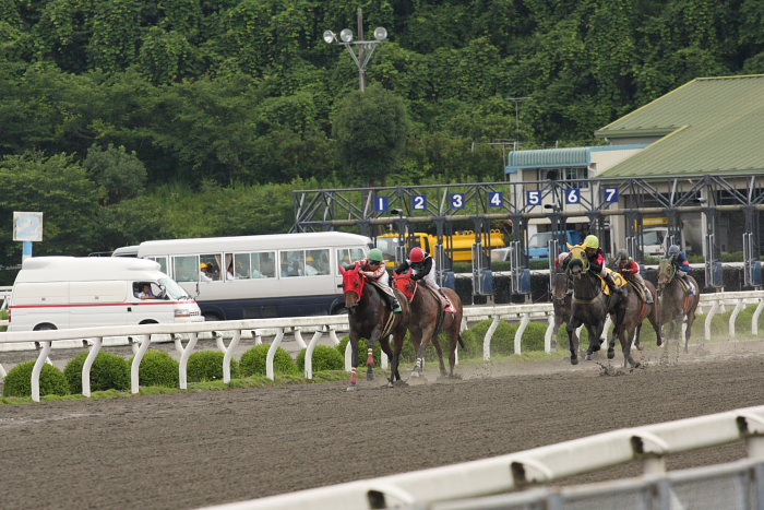 2008年6月22日（日） 高知競馬 1R_a0077663_6532326.jpg