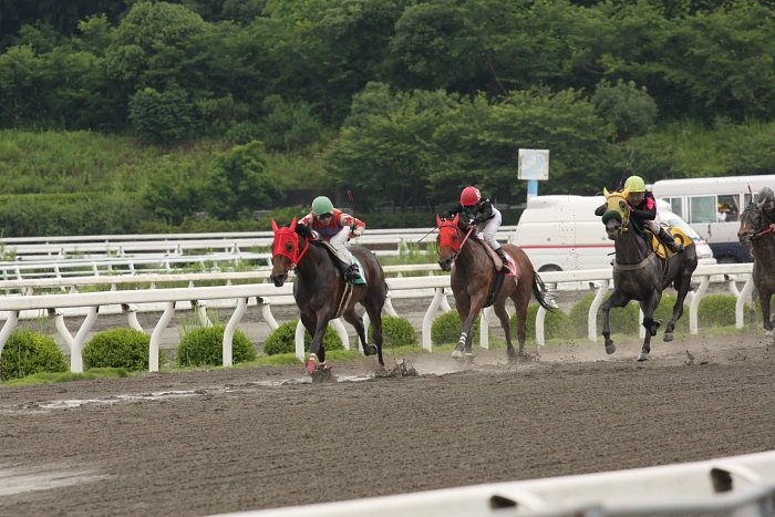 2008年6月22日（日） 高知競馬 1R_a0077663_721598.jpg