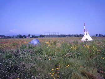 ▼祝・オルタナティヴ・ヴィレッジ・サッポロ!_d0017381_238446.jpg