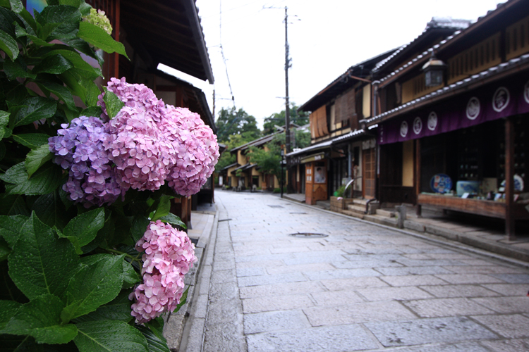 久しぶりに見た石畳の風景_e0051888_173862.jpg