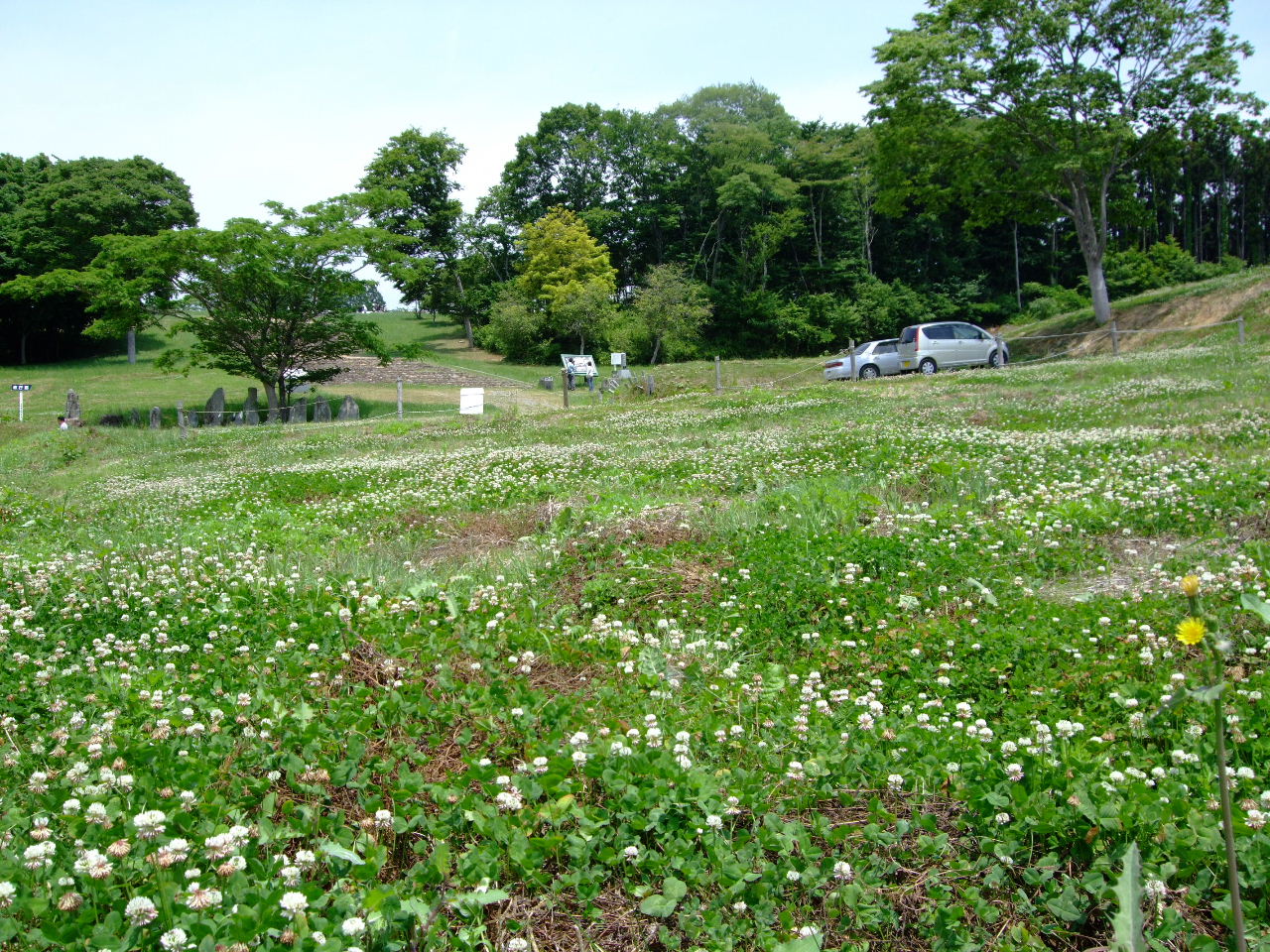 多賀城・夏 ☆☆☆☆国府多賀城跡_f0100593_15142459.jpg