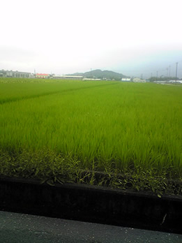 b0067598_21204160.jpg