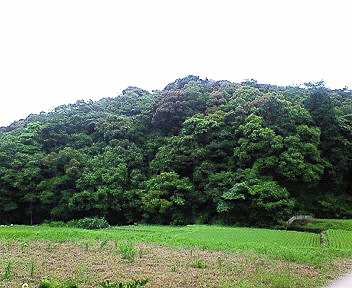 e0001406_17225727.jpg