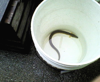 e0001406_1724311.jpg