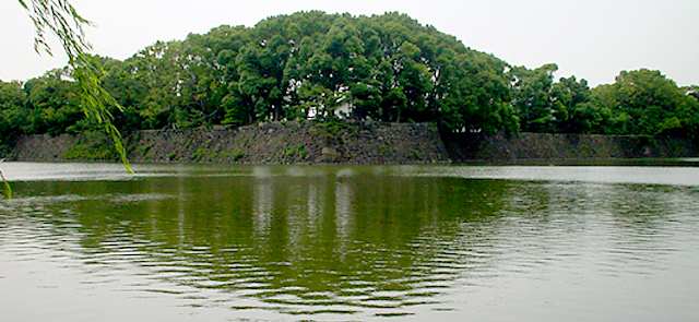 d0018611_20413439.jpg