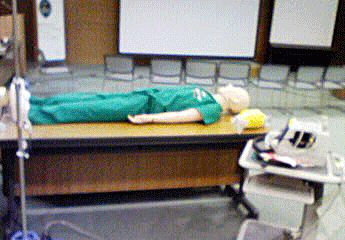 a0055913_16111747.gif