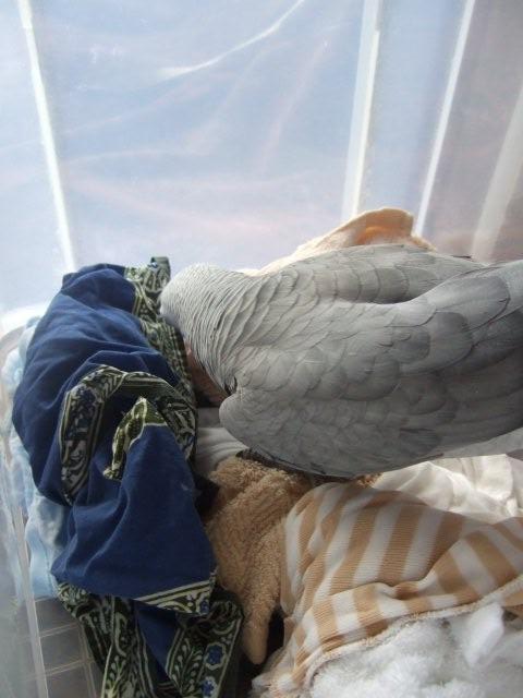c0133013_01754.jpg