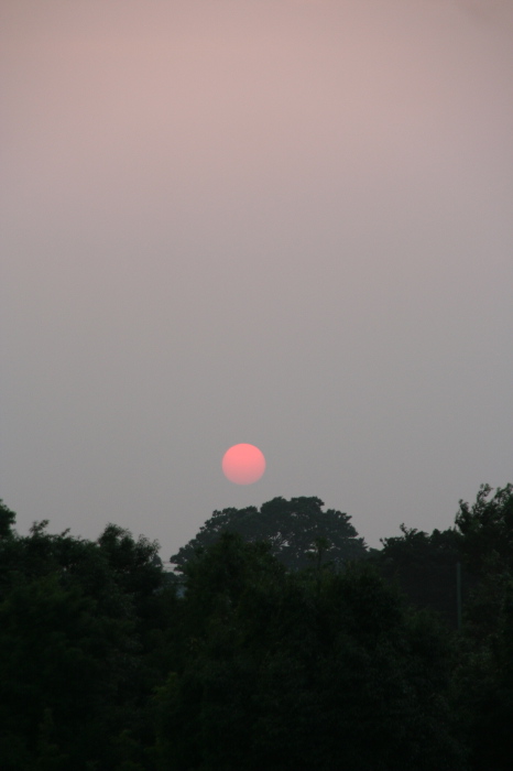 夕焼けの欠片_e0077521_19263986.jpg