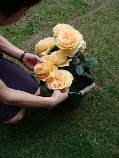 f0170524_19581523.jpg