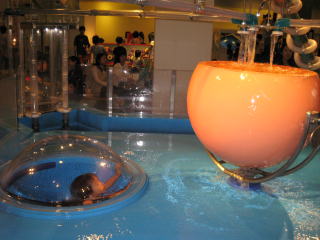 c0113733_040431.jpg