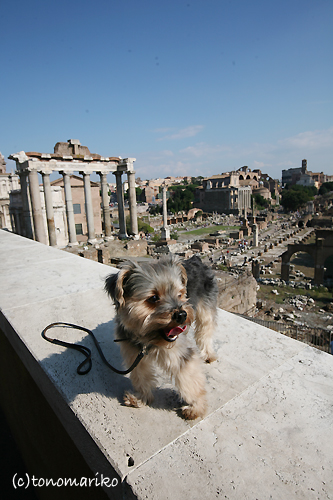 c0024345_91470.jpg