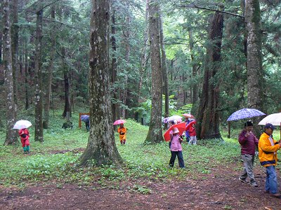 雨もまた良し?井戸尻遺跡ウォーク_f0019247_20495767.jpg