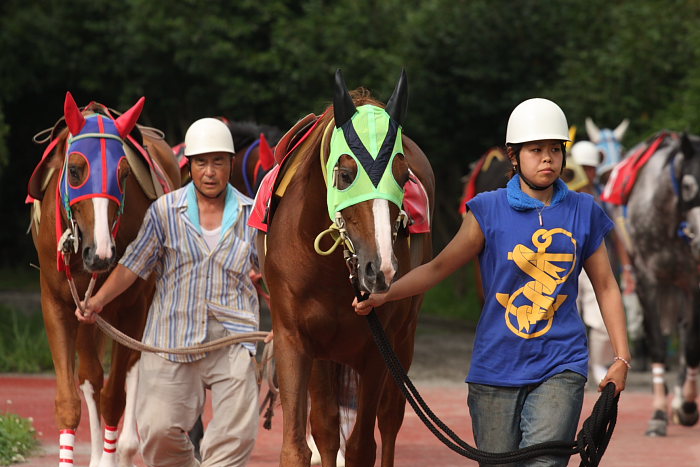 2008年6月29日(日) 高知競馬 10R 極暑特別 パドック_a0077663_19345321.jpg