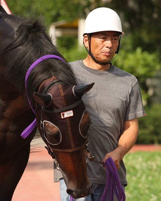 2008年6月29日(日) 高知競馬 10R 極暑特別 パドック_a0077663_19351068.jpg