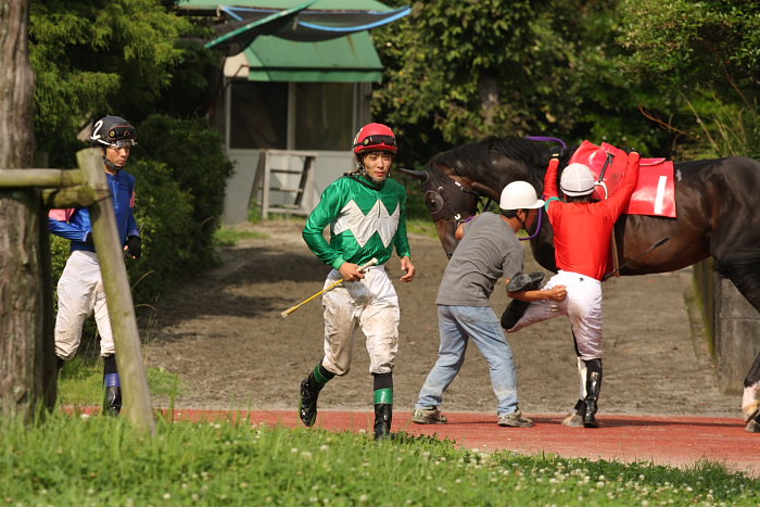 2008年6月29日(日) 高知競馬 10R 極暑特別 パドック_a0077663_19352250.jpg