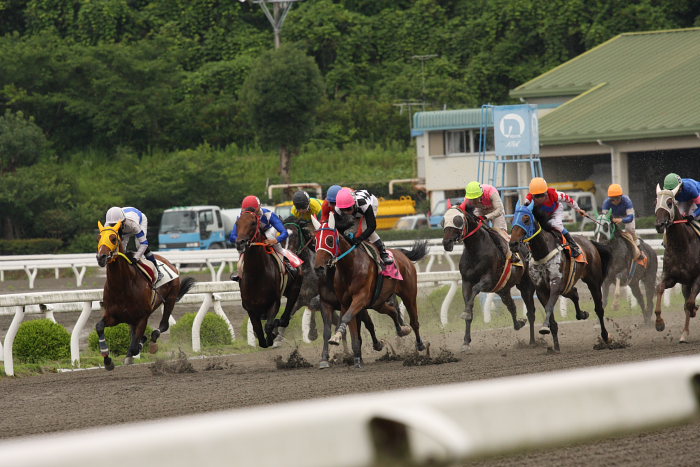 2008年6月22日（日） 高知競馬 5R_a0077663_814898.jpg