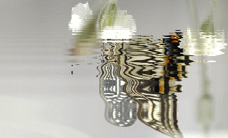 d0012963_1016111.gif